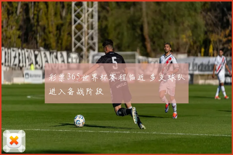 彩票365世界杯赛程临近 多支球队进入备战阶段